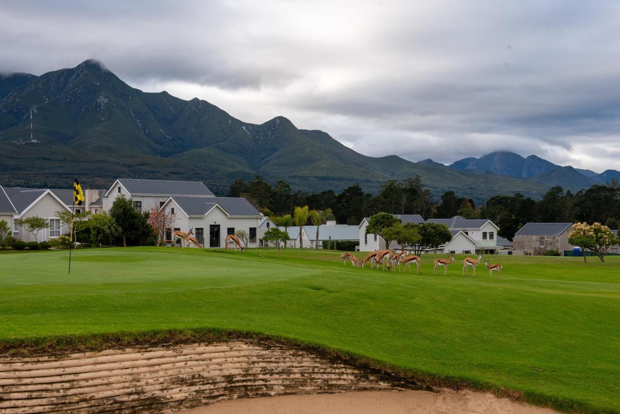 The Peaks - Kingswood Golf Estate *